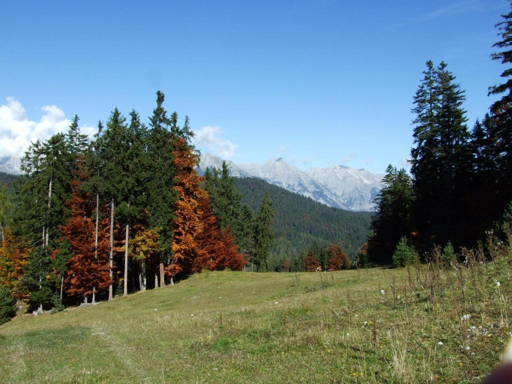 Hotel Menthof Seefeld in Tirol Zimmer foto